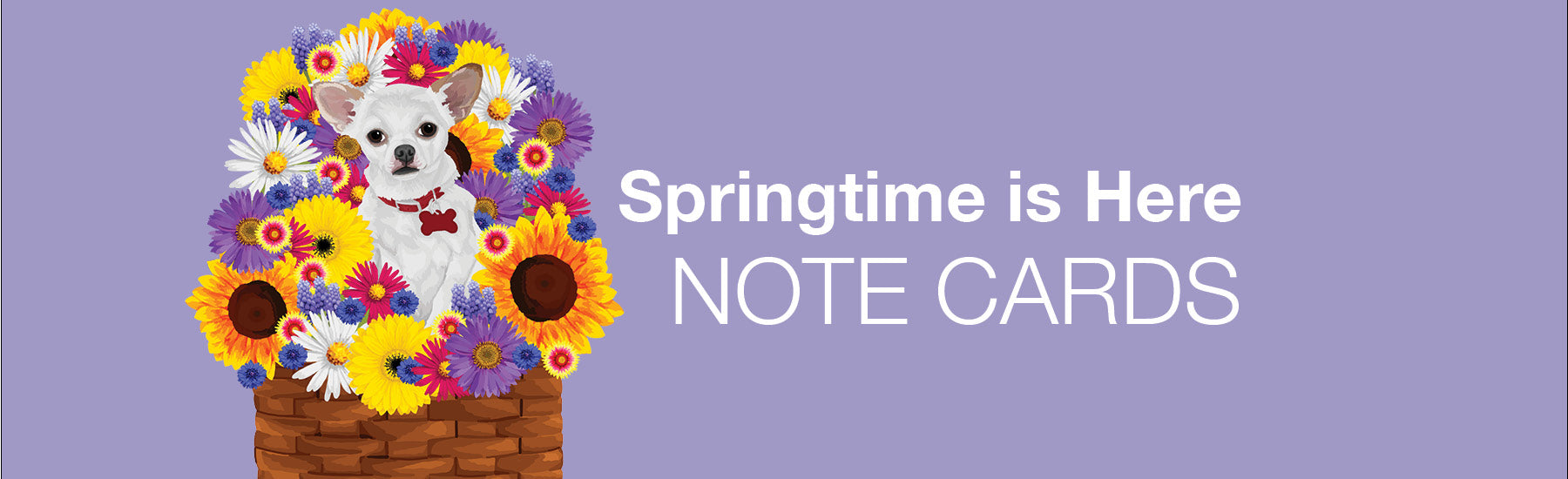 SPRING NOTE CARDS