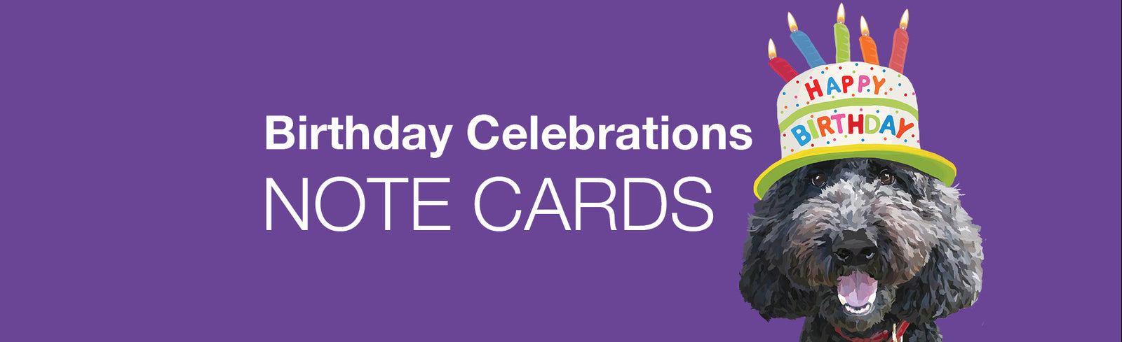 BIRTHDAY NOTE CARDS