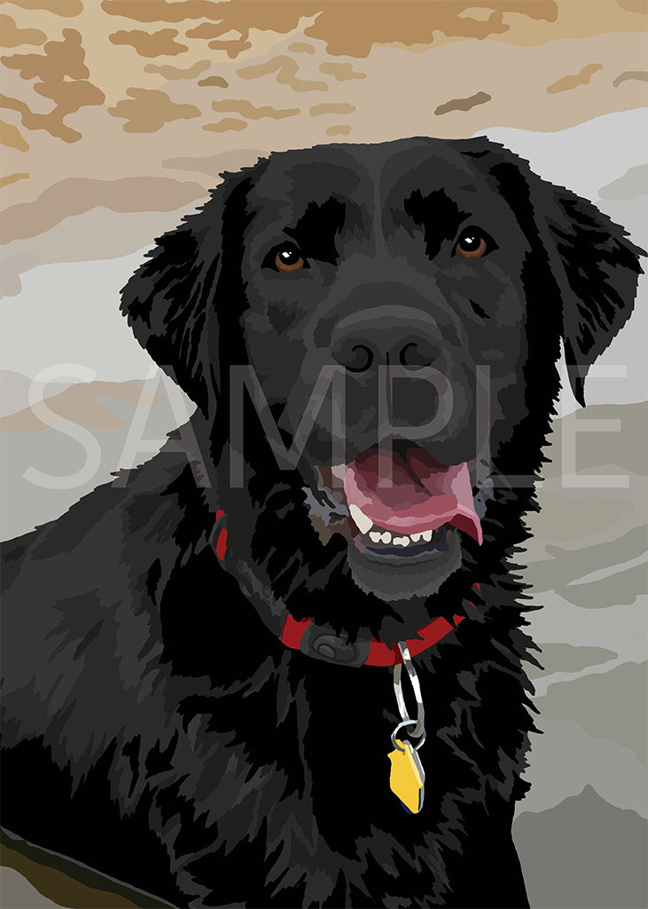 Labrador Retriever Black