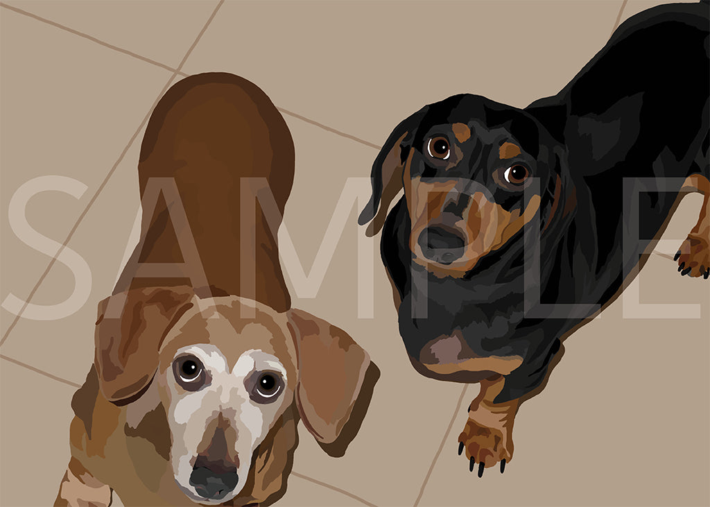 Dachshund Black and Tan