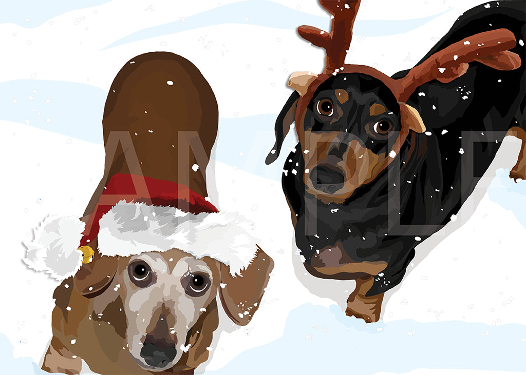 Dachshund Black and Tan