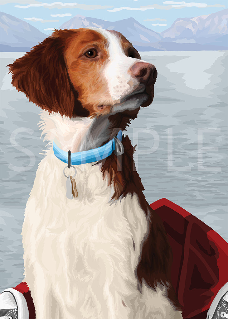 Brittany Spaniel