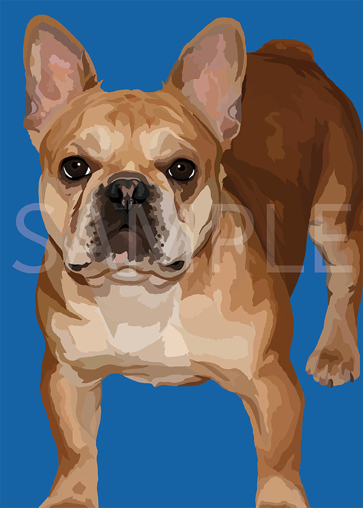 French Bulldog