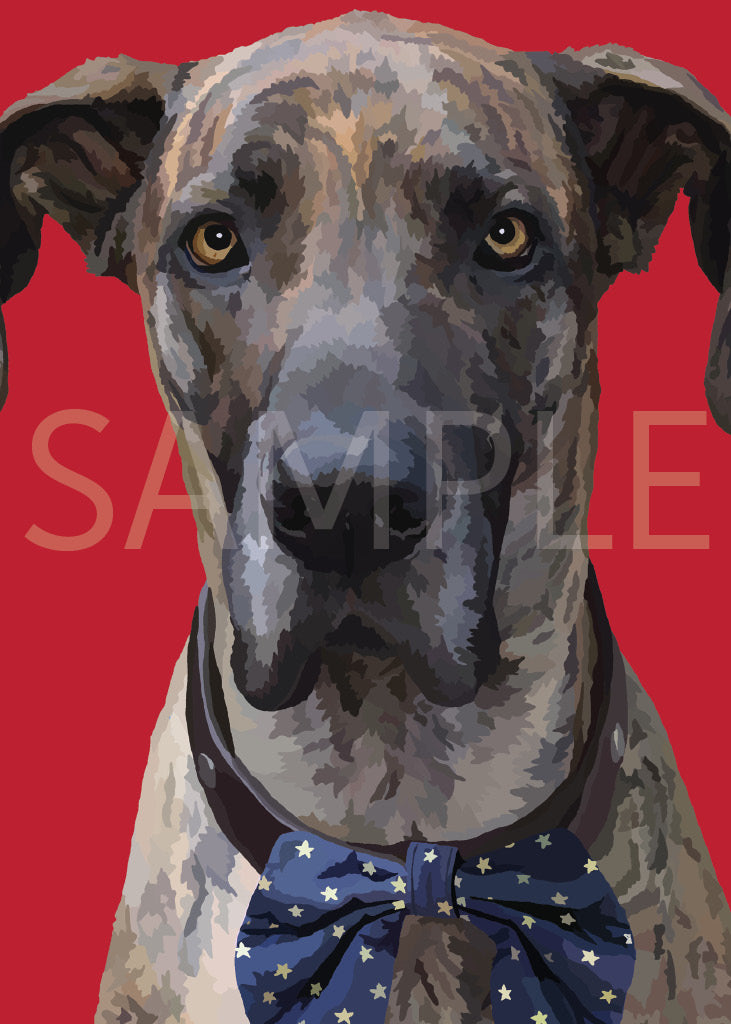 Great Dane