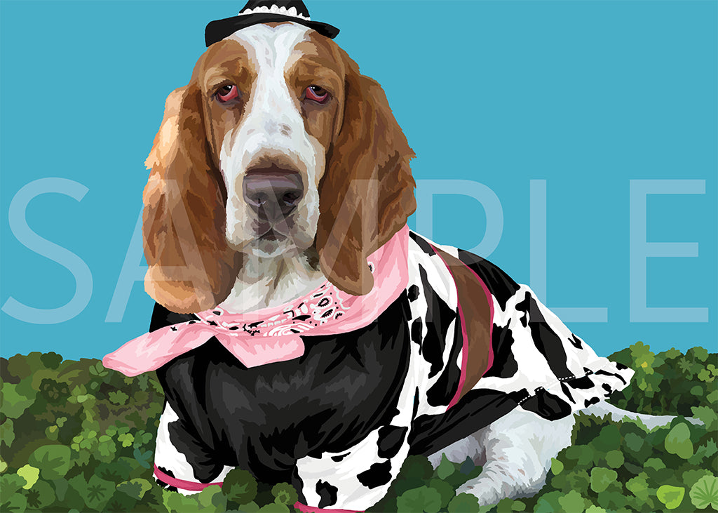 Basset Hound