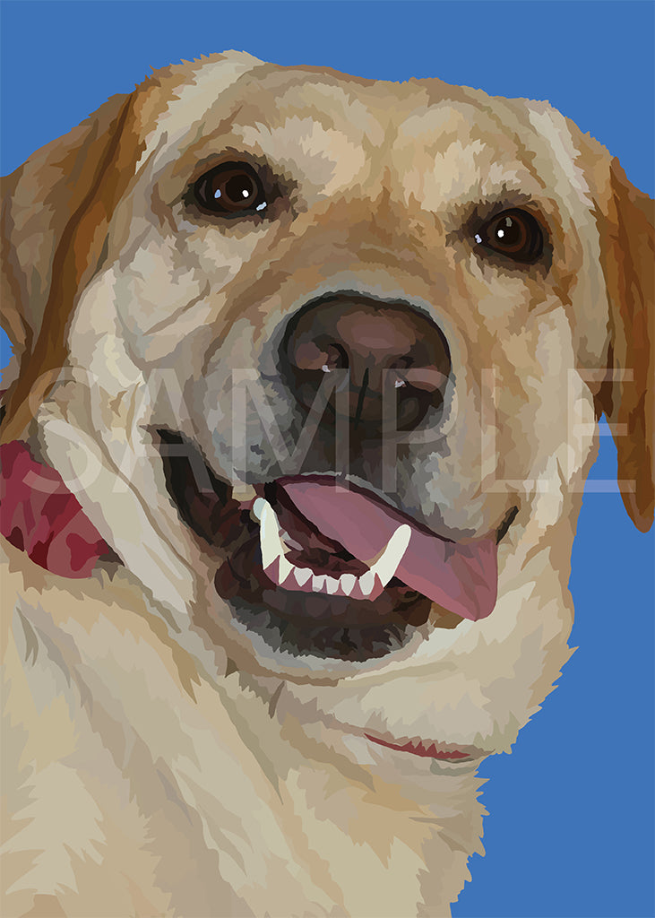 Labrador Retriever Yellow