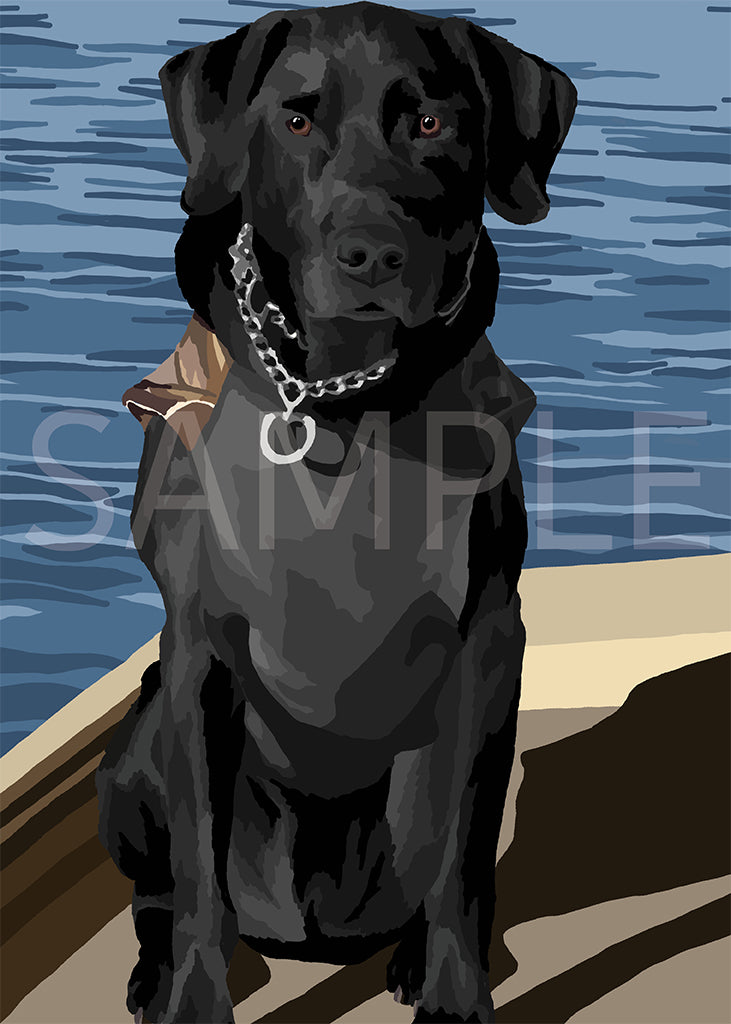 Labrador Retriever Black