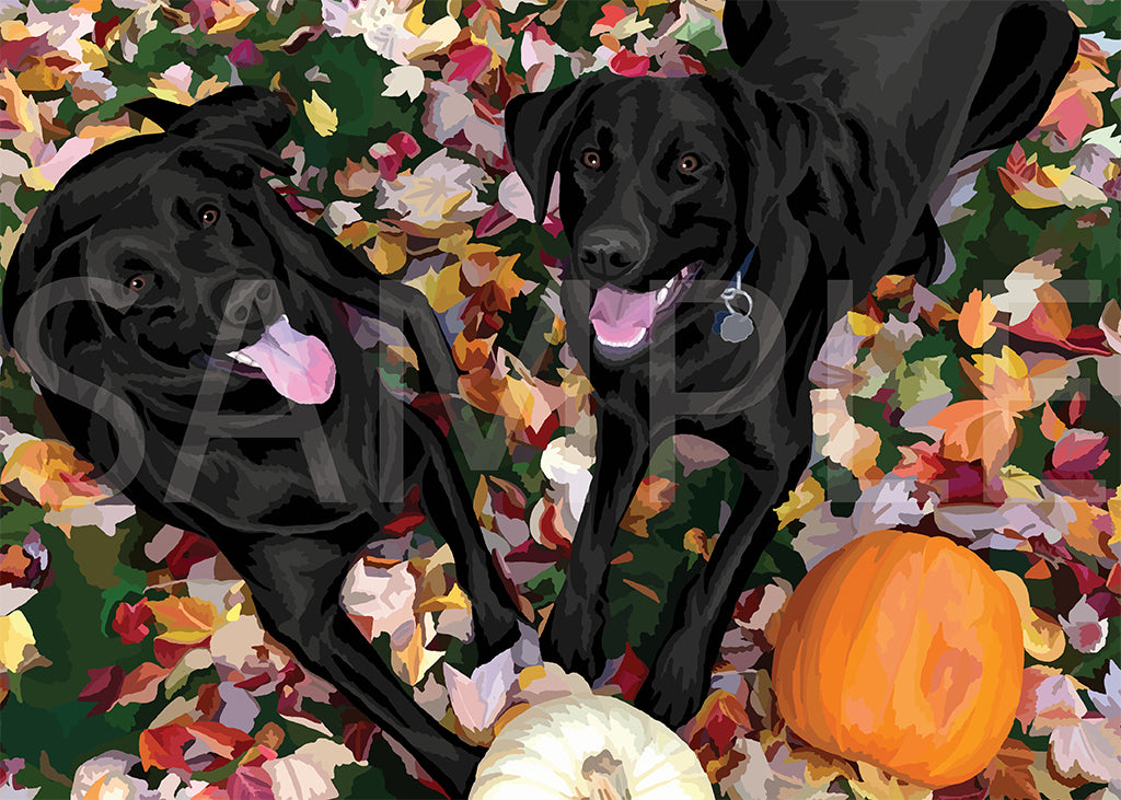 Labrador Retriever Black