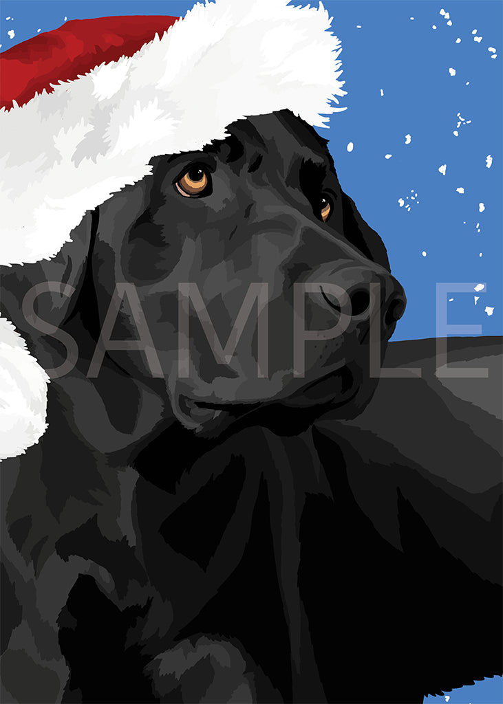 Labrador Retriever Black