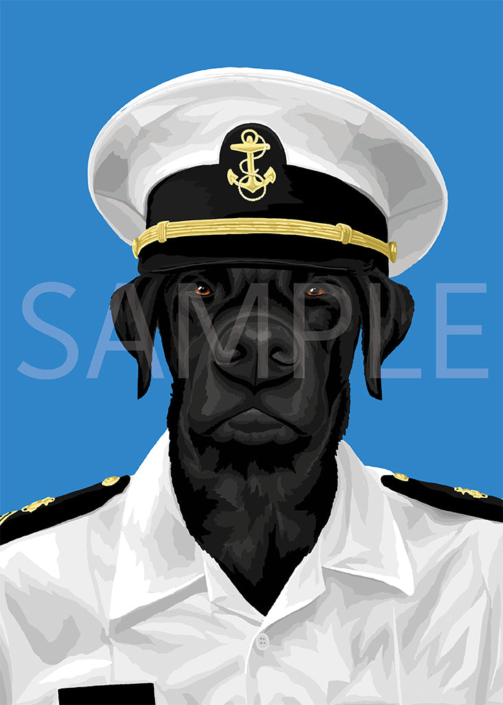 Labrador Retriever Black