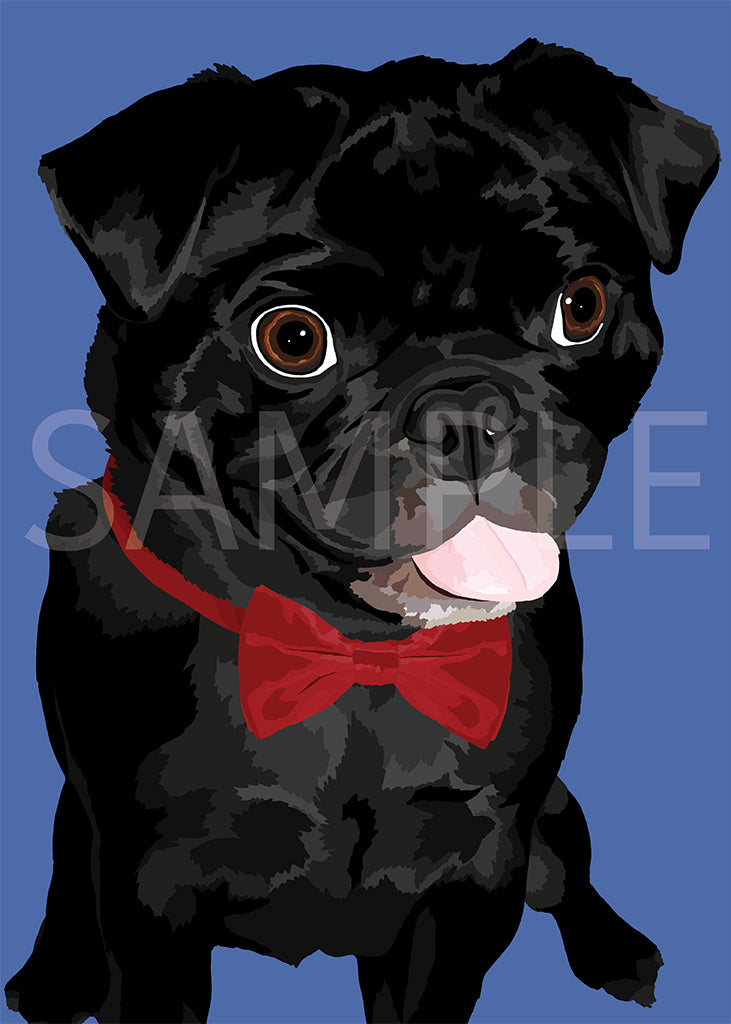 Pug Black