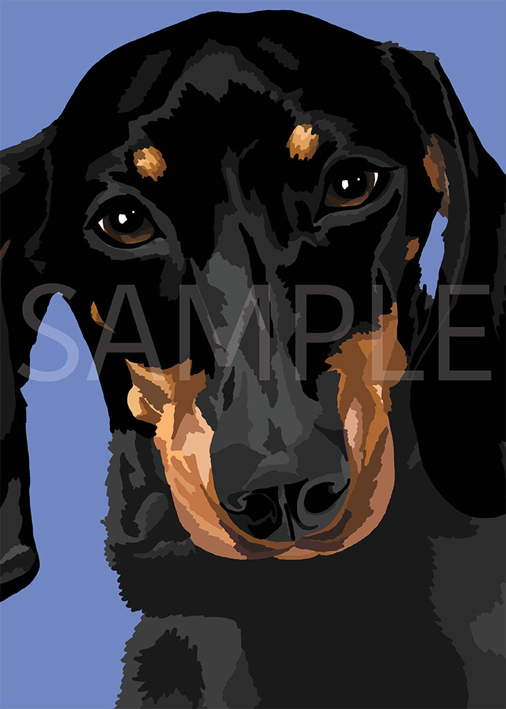 Dachshund Black and Tan