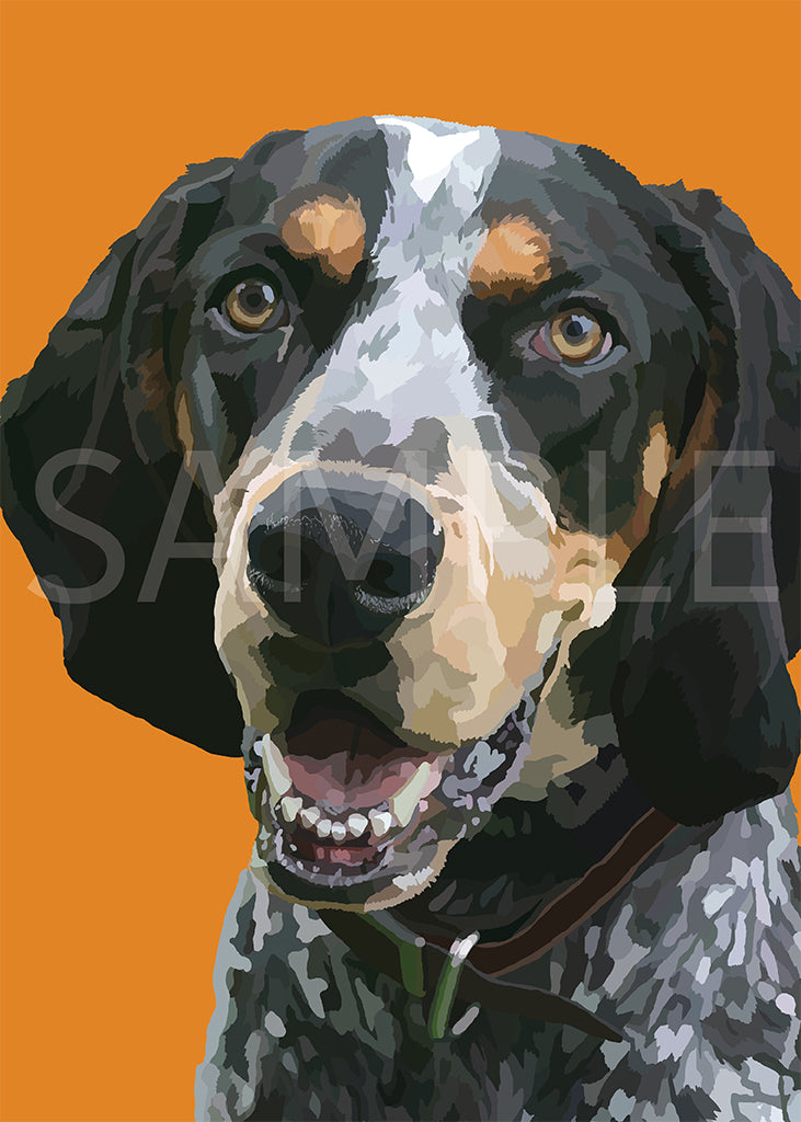 Bluetick Coonhound 
