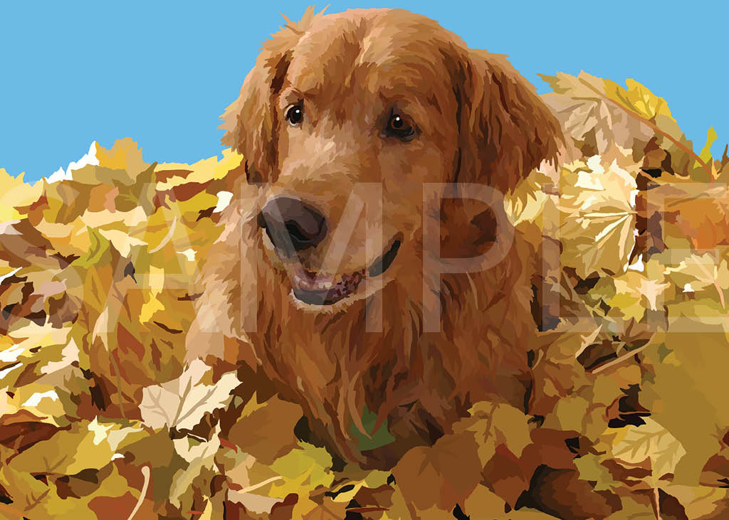 Golden Retriever