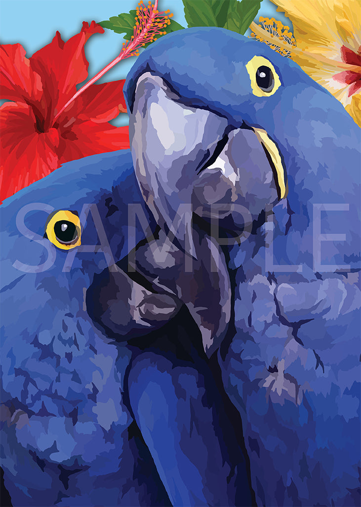Blue Macaw