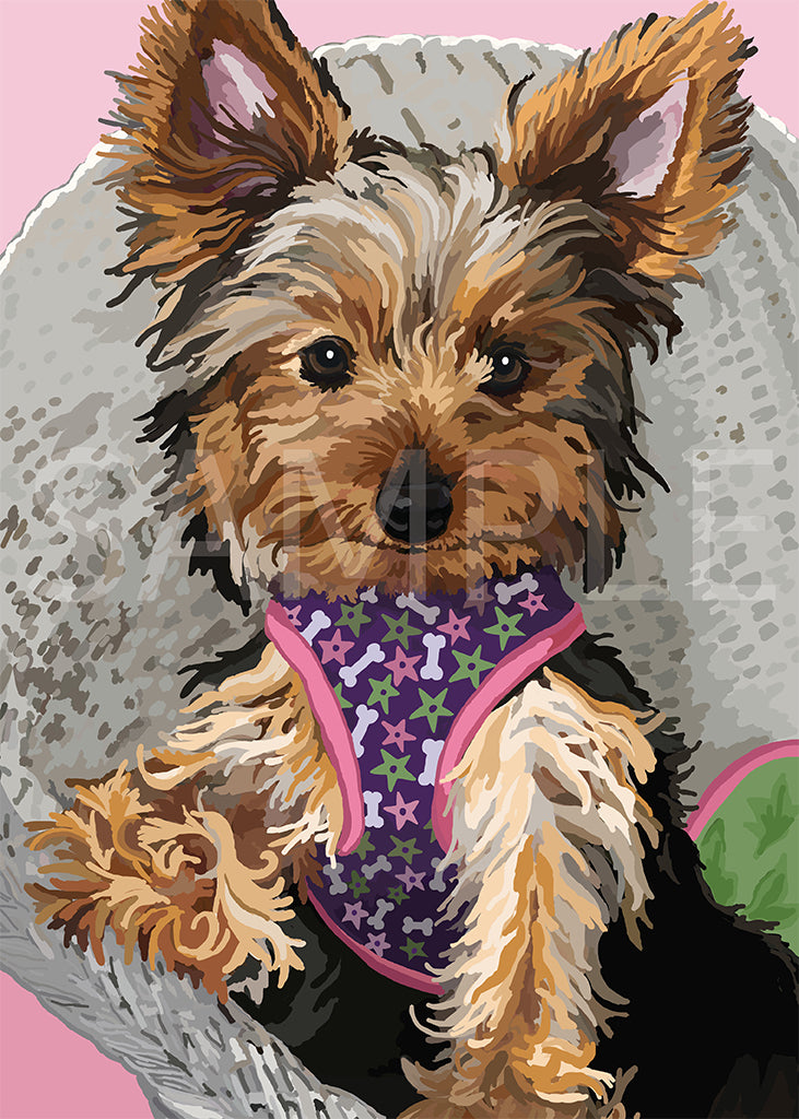 Yorkshire Terrier