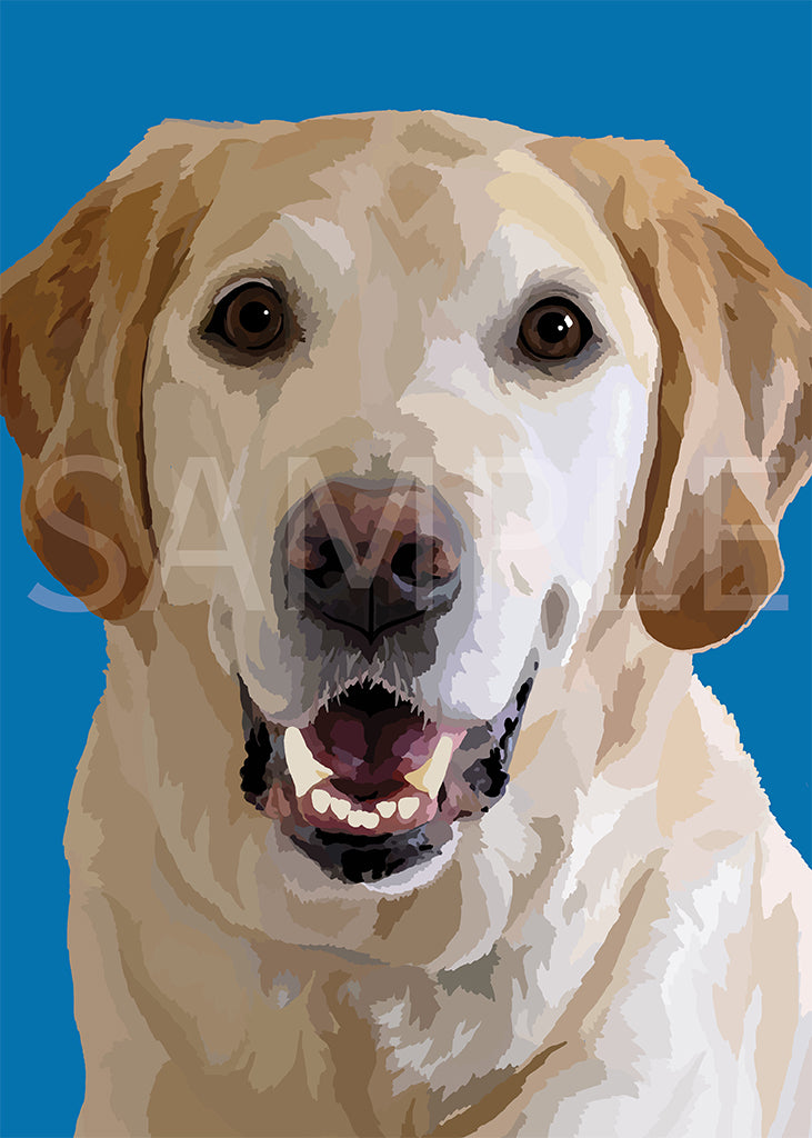 Labrador Retriever Yellow