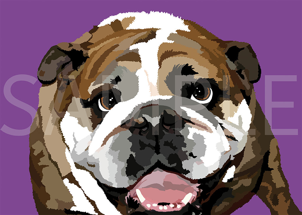 English Bulldog