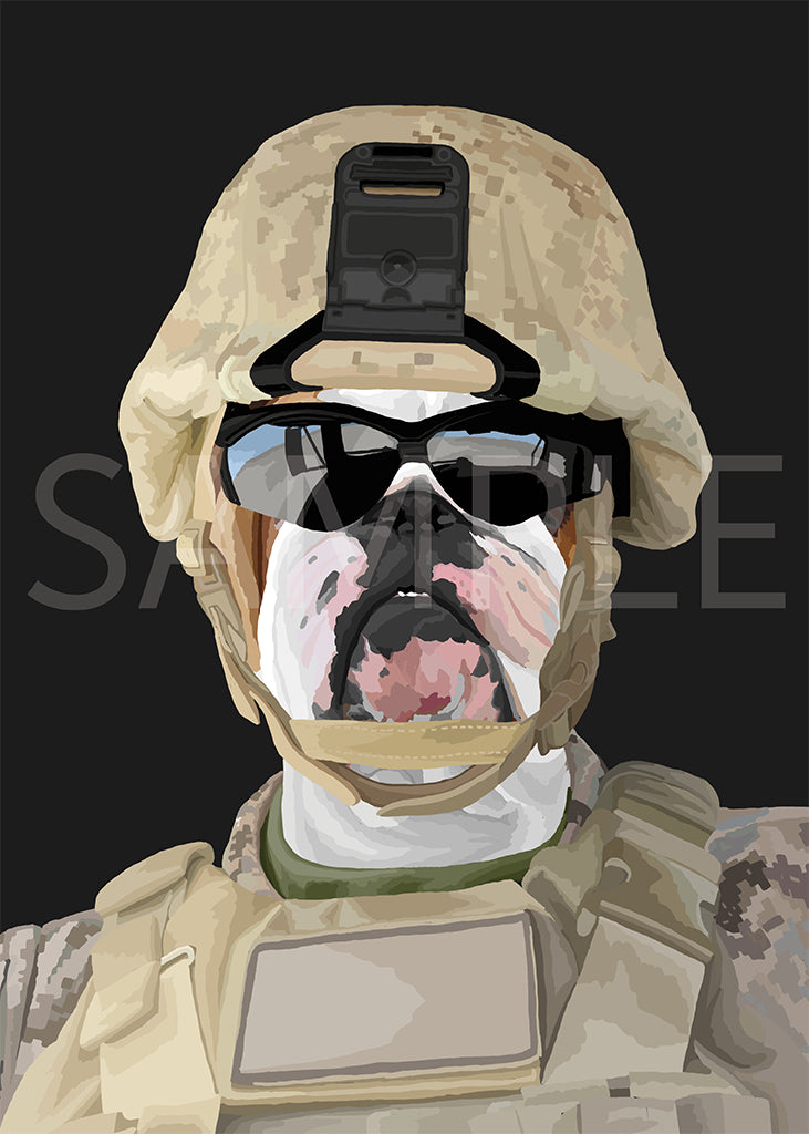 English Bulldog
