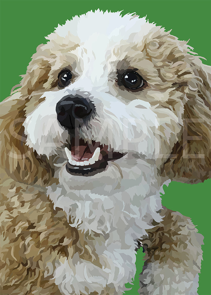 Cavachon