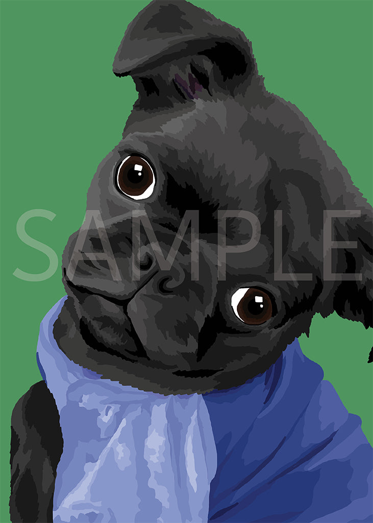 Pug Black