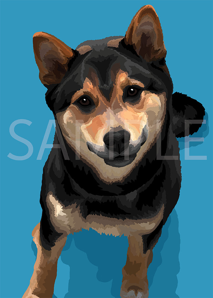 Shiba Inu Black and Tan