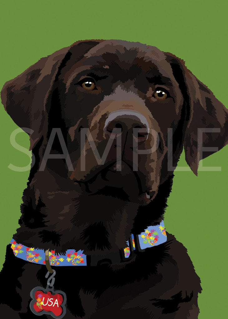 Labrador Retriever Yellow