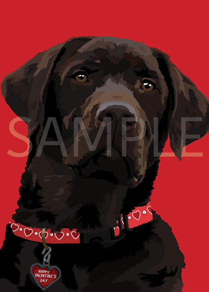 Labrador Retriever Black