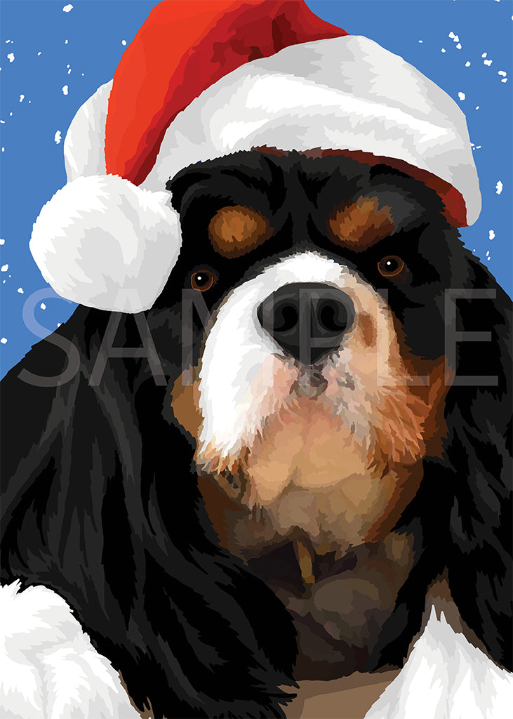 Cavalier King Charles Spaniel