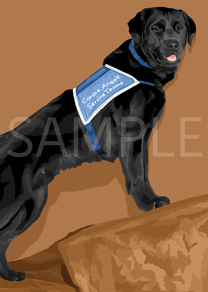 Labrador Retriever Black