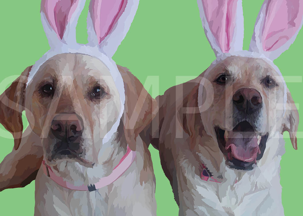 Labrador Retriever Yellow