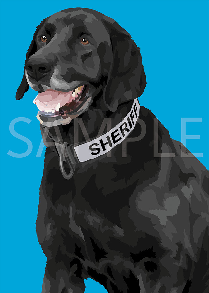 Labrador Retriever Black