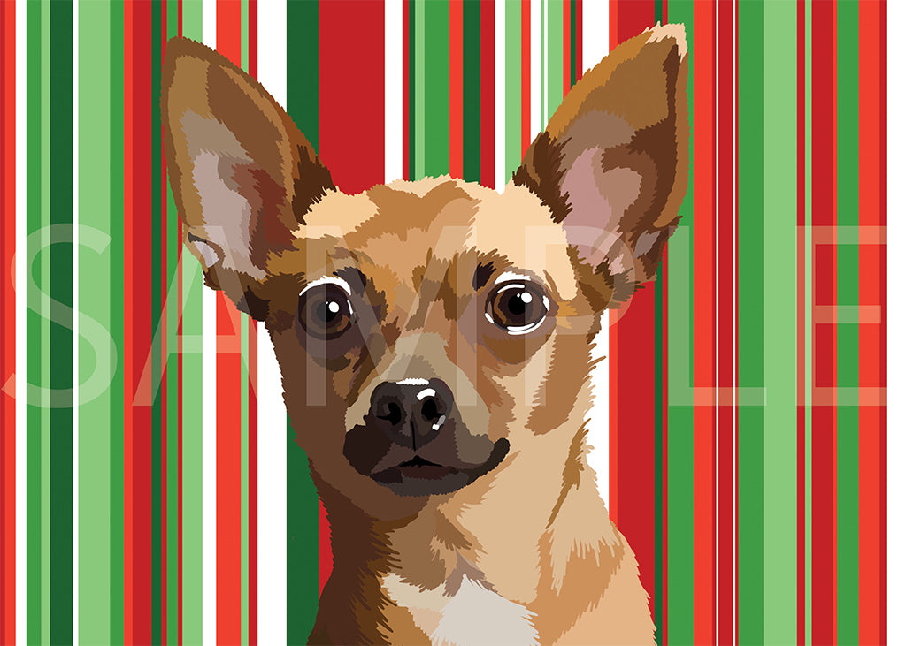 Chihuahua Short Hair