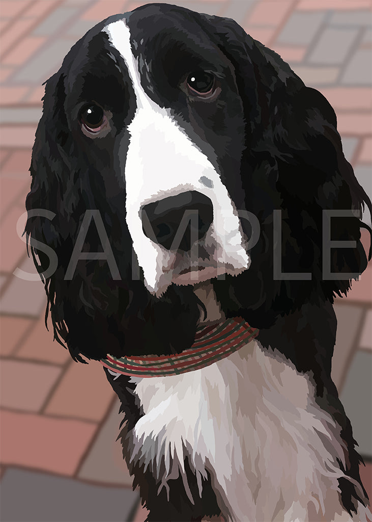 English Springer Spaniel