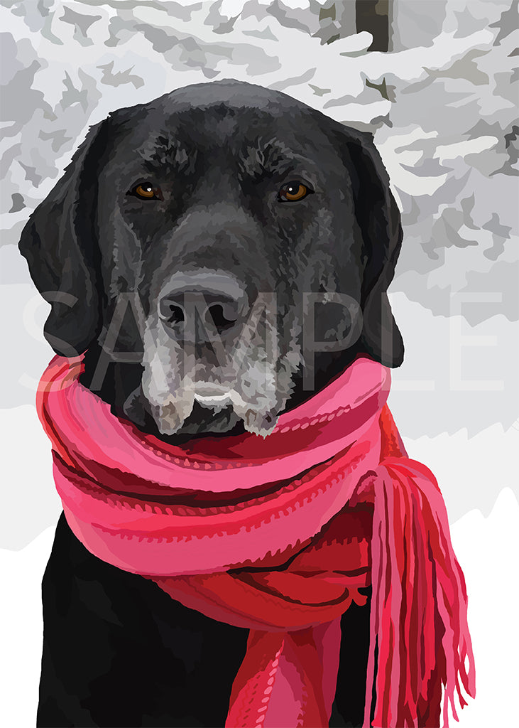 Labrador Retriever Black