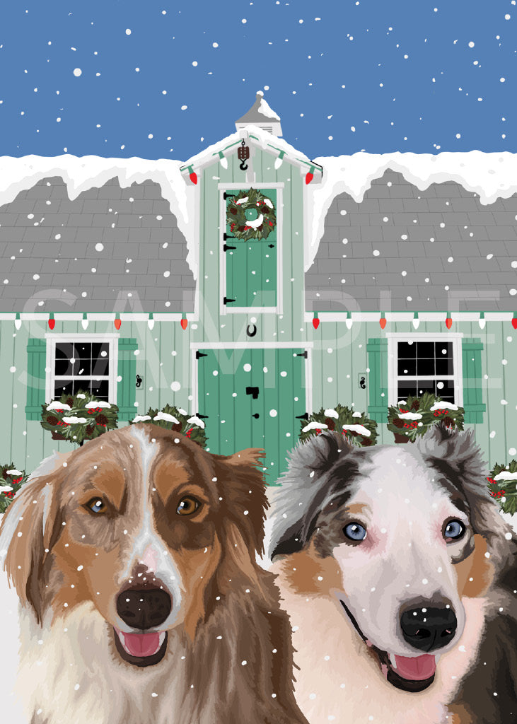 Australian Shepherds