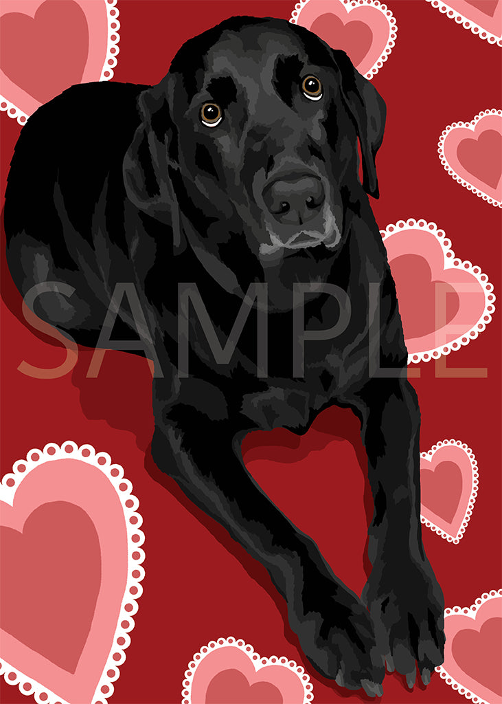 Labrador Retriever Black