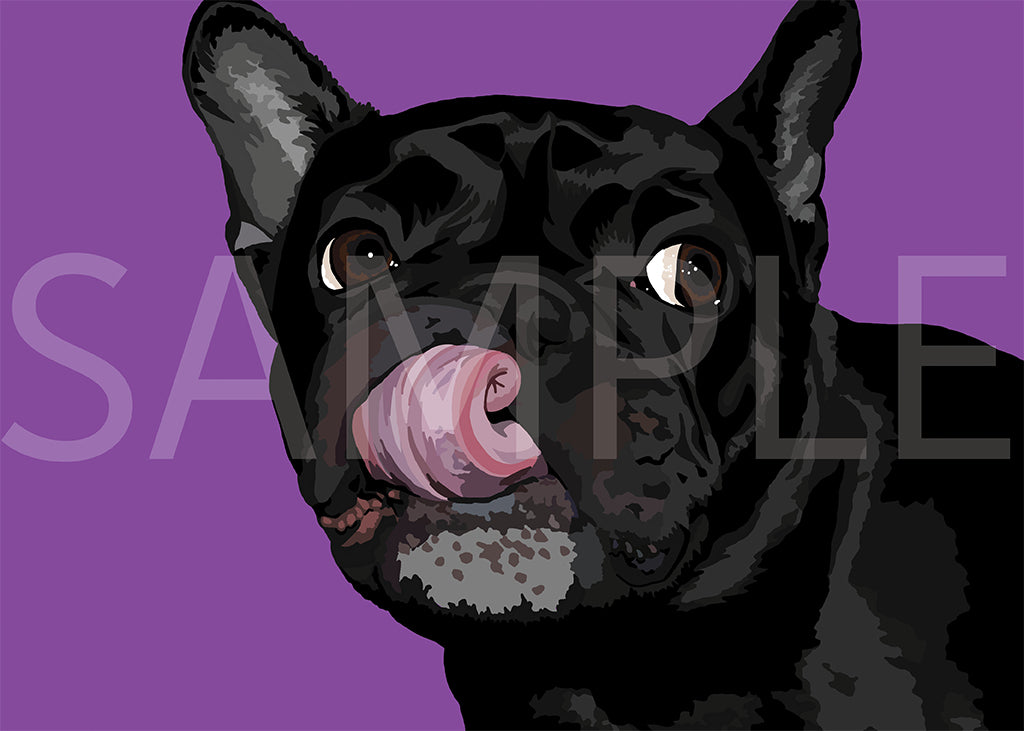 French Bulldog Black