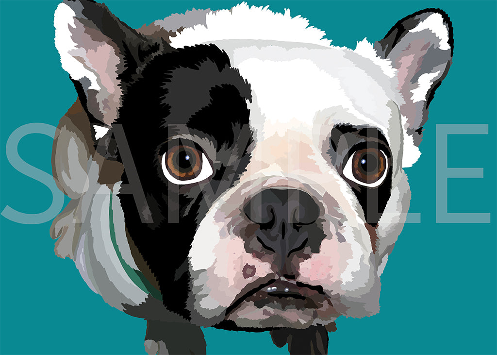 French Bulldog Black and White