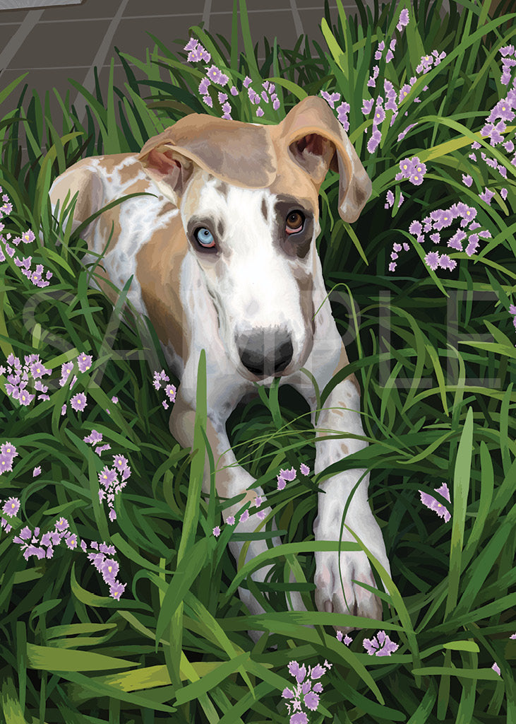 Fawnequin Great Dane