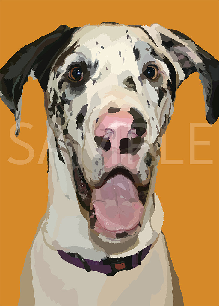 Great Dane Harlequin