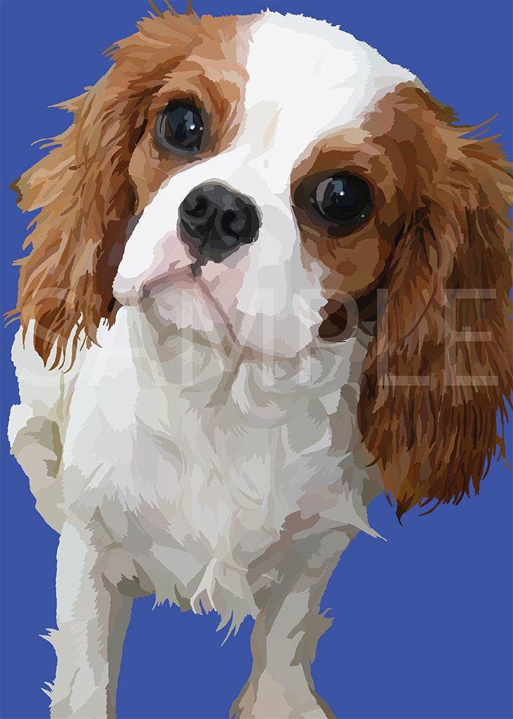 Cavalier King Charles Spaniel