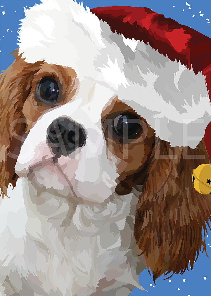 Cavalier King Charles Spaniel