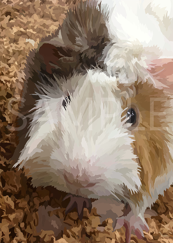 Guinea Pig 