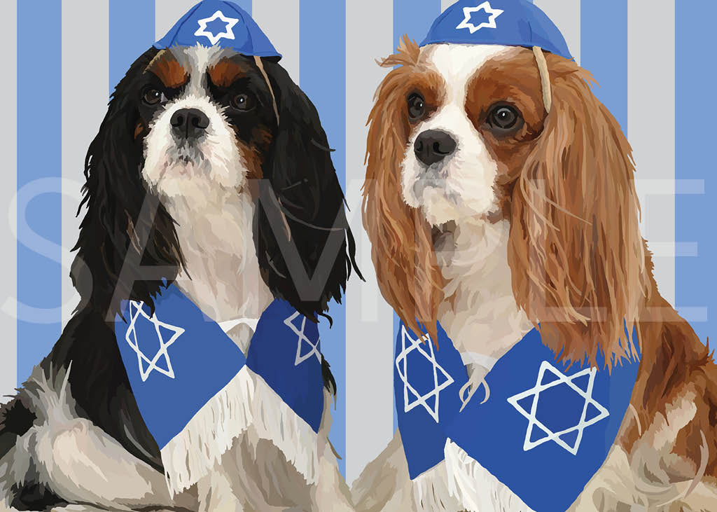 Cavalier King Charles Spaniel