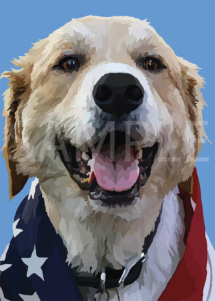 Golden Retriever Mix