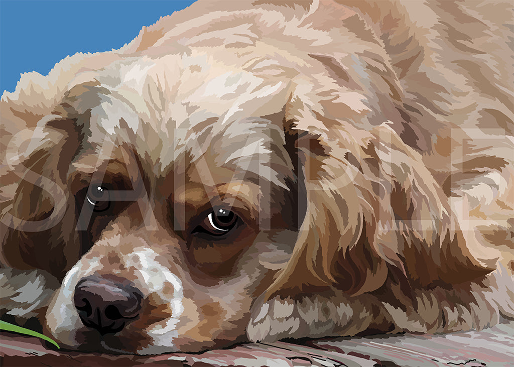 Cocker Spaniel Brown