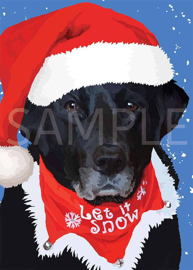 Labrador Retriever Black