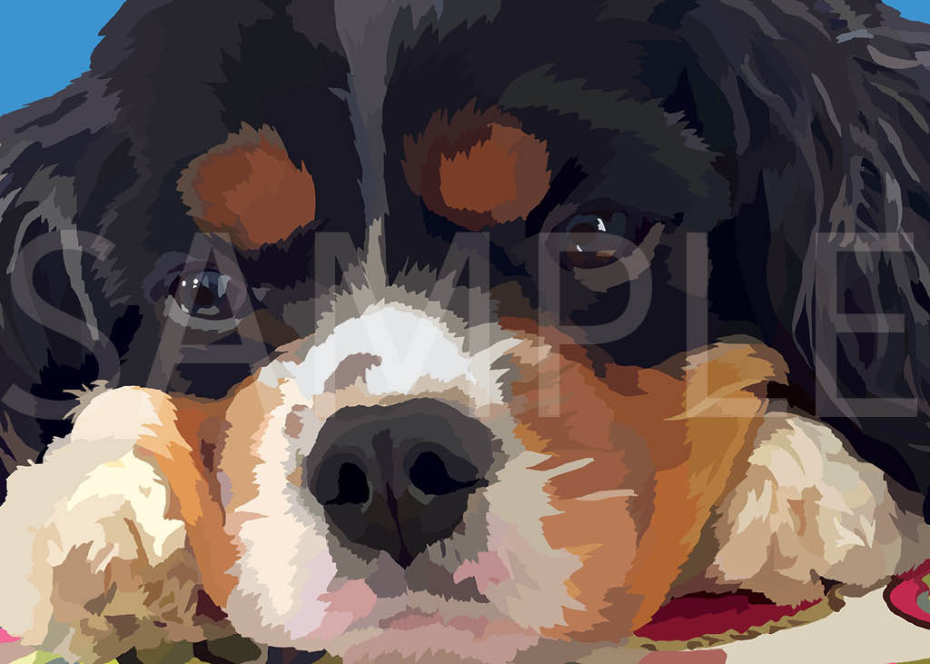 Cavalier King Charles Spaniel