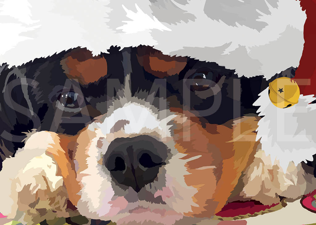 Cavalier King Charles Spaniel